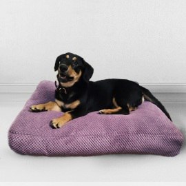 Лежак для собаки Сирень, размер S, объемный велюр 1
